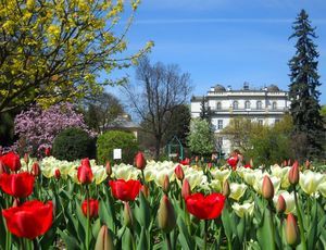 Ogród Botaniczny